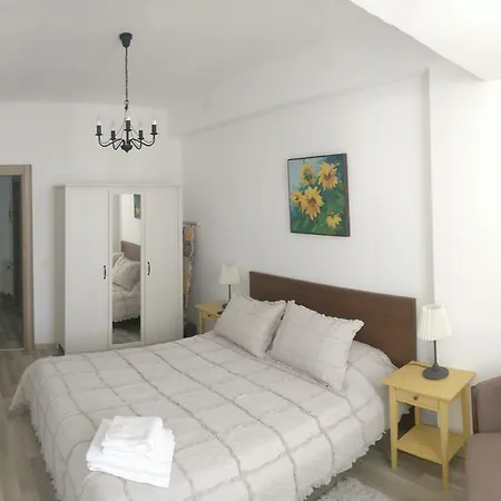 Mamaia Summerland Apartment